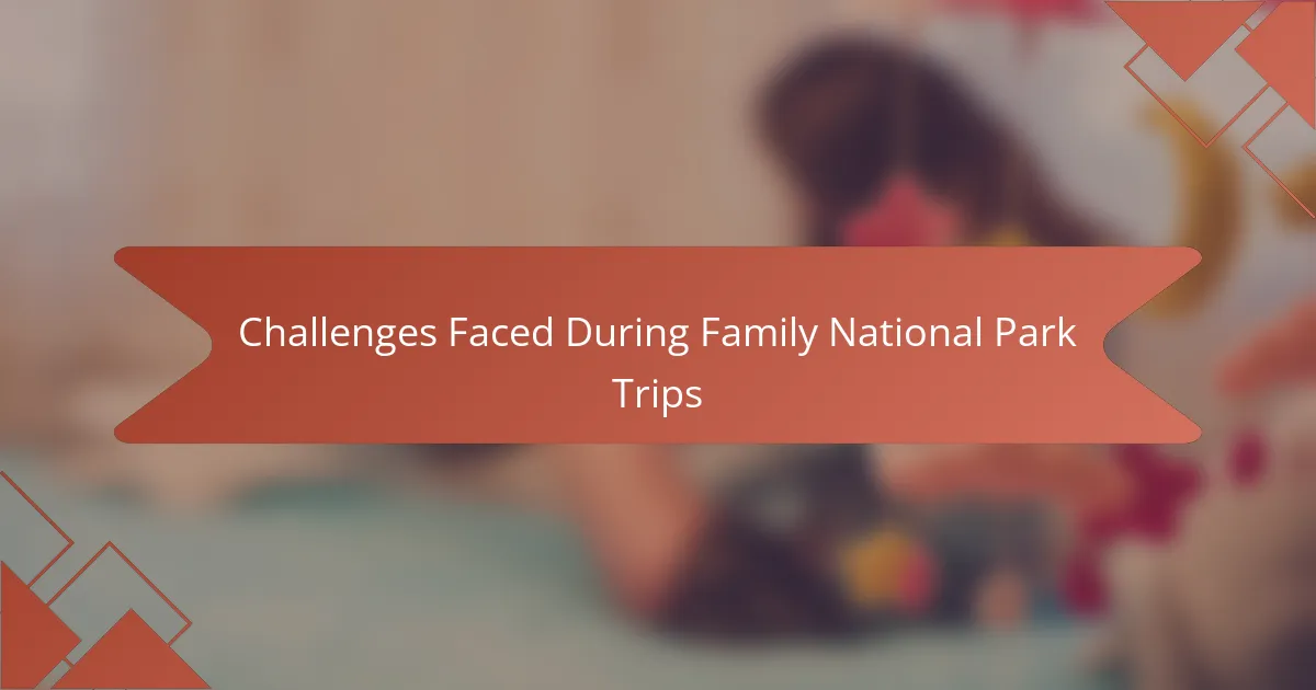Challenges Faced During Family National Park Trips