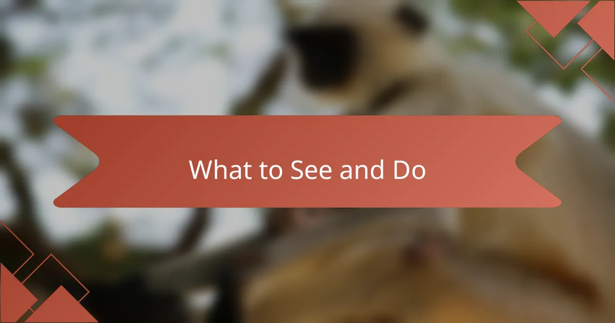 What to See and Do